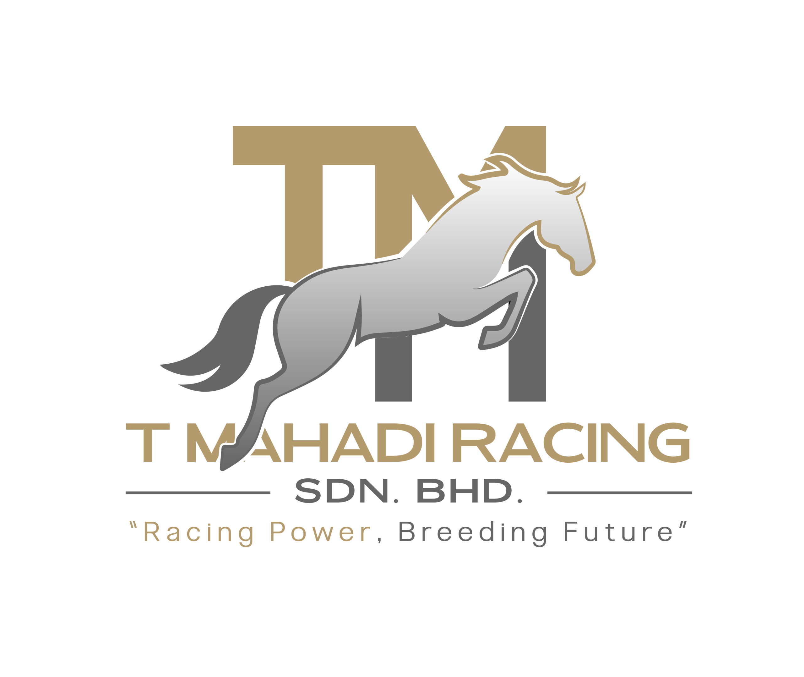 T MAHADI RACING SDN. BHD.